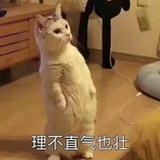 让我康康