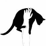 似是故人来