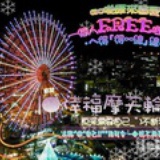 鸿亦飞