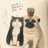 苏菲桃夭