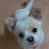 闹闹妈