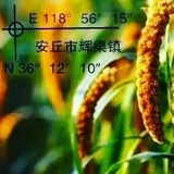 愿读服书