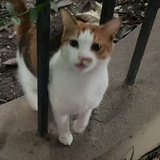 雨田