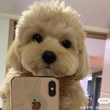 旧人 旧梦 -