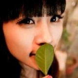 洋芋