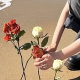 海瑟