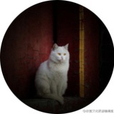 燕渡