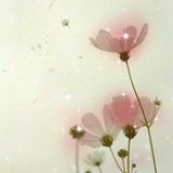 给梦境一个瞬间