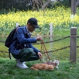 提子陈