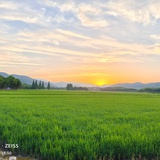 远山的呼唤