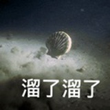 向风慕义
