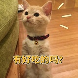 有好吃的吗