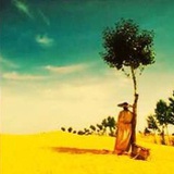 Nagual