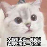 天 玑