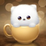 kity