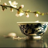 煎茶君