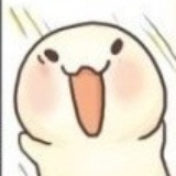 小狮子不怕