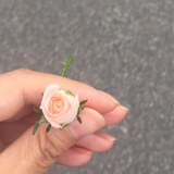 小Q