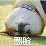 就是这么开心呀