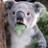 国棉三厂八级工