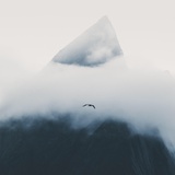 伯琰