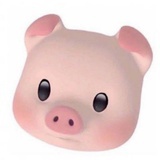Piggy