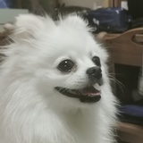 憨憨帽儿