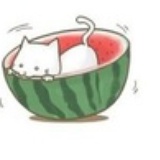 游离。猫