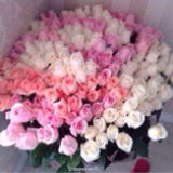 Candee_MSY