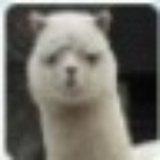 追风筝的人