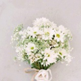念何繁花落
