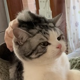 浩浩乎