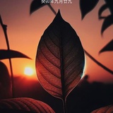 某年某月某日