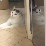 天天犯困