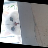 ˂◡˂