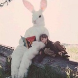 Ray🐰