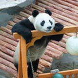 冲冲冲小灵通