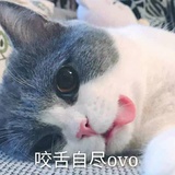 无良狗爹