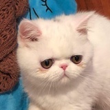 M...