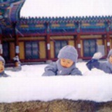 调和数列