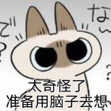一只大鸡腿