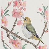 清