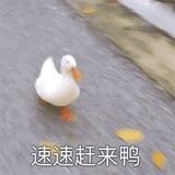 正在输入中