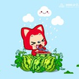 梦梦雨中情
