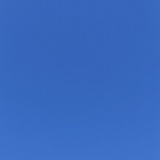 果然:_ _ _ _ _