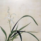 馨水宜兰