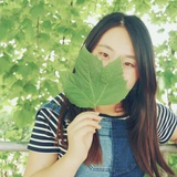 孤雁