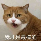 辛巴de诺言