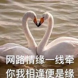 隔壁的戏子