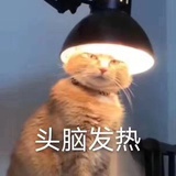 Wends（已发达